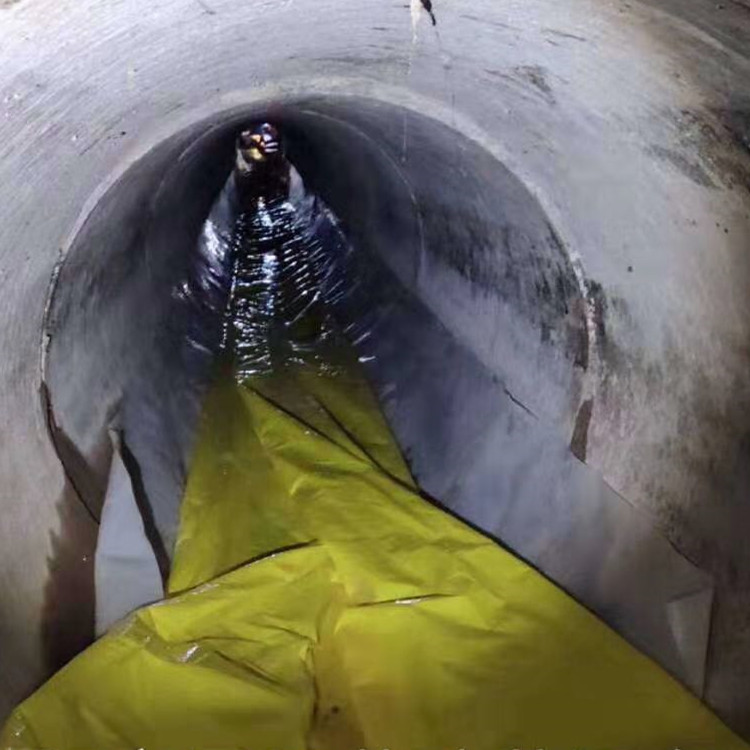 凤凰管道光固化修复